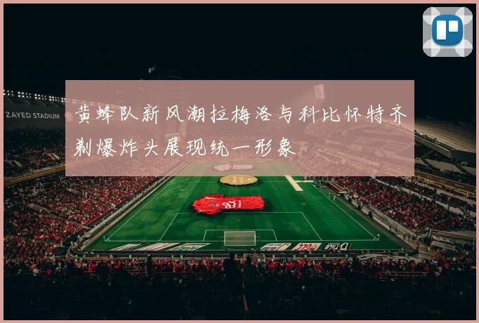 黄蜂队新风潮拉梅洛与科比怀特齐剃爆炸头展现统一形象