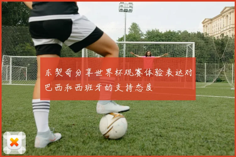 东契奇分享世界杯观赛体验表达对巴西和西班牙的支持态度